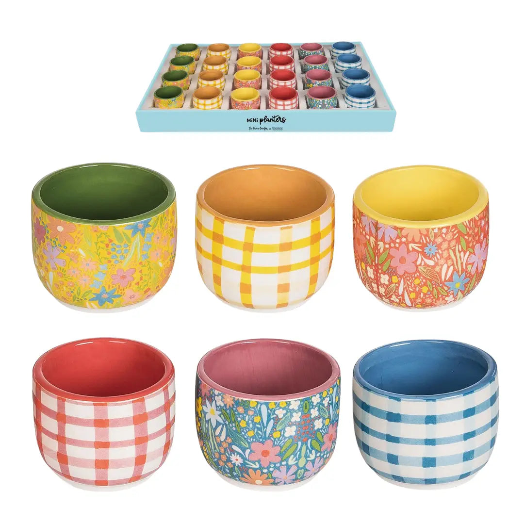 Mini Dolomite Spring Planters