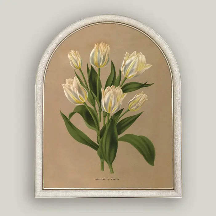 White Tulips Arch