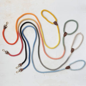 Ombre Dog Leash