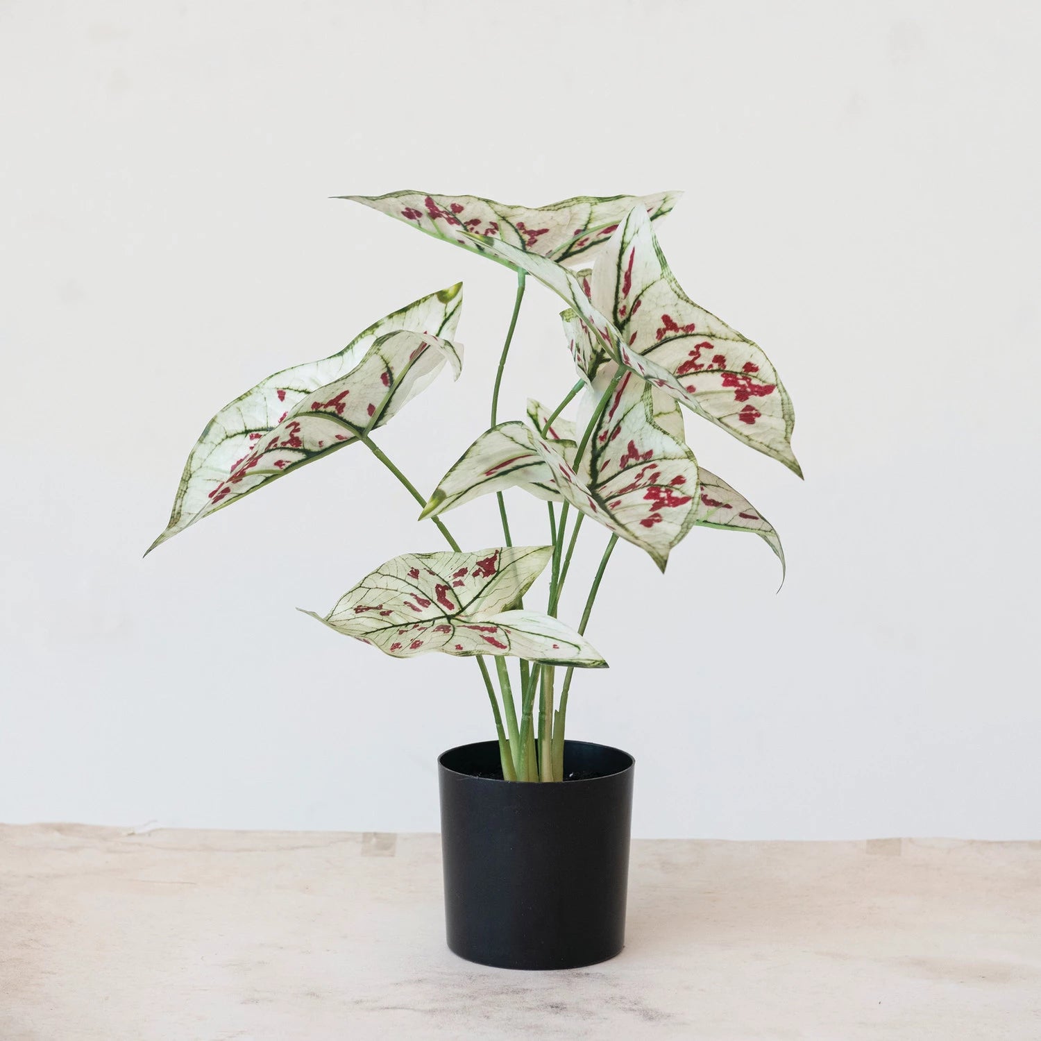 Faux Caladium Plant in Plastic Pot