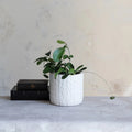 Stoneware Planter with Woven Pattern (Holds 7" Pot)