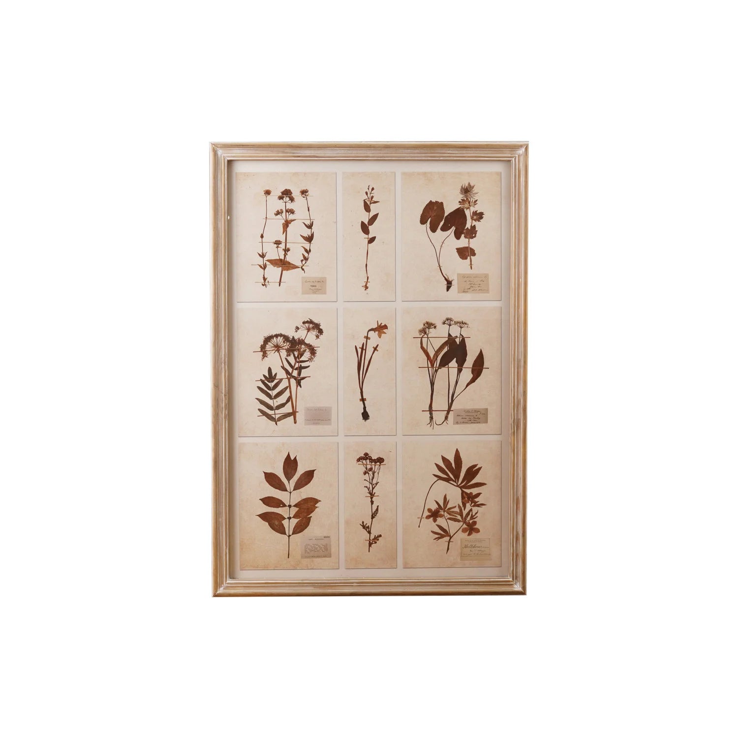 Wood Framed Glass Wall Decor with Botanicals Print