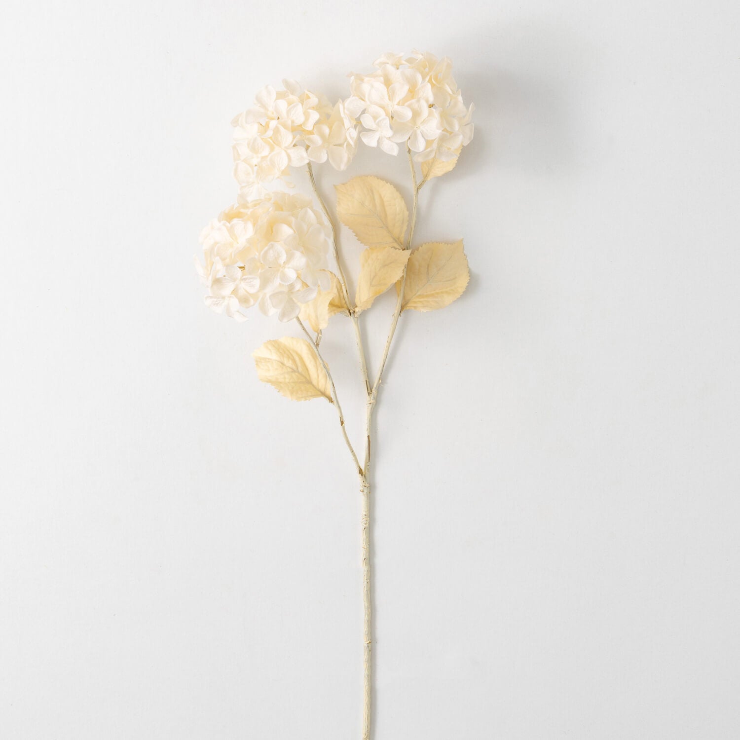 Cream Hydrangea Stem