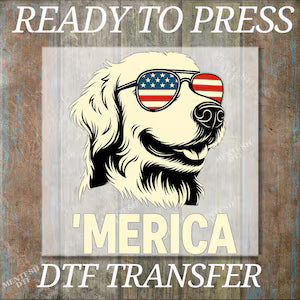 4th of July DTF Transfers