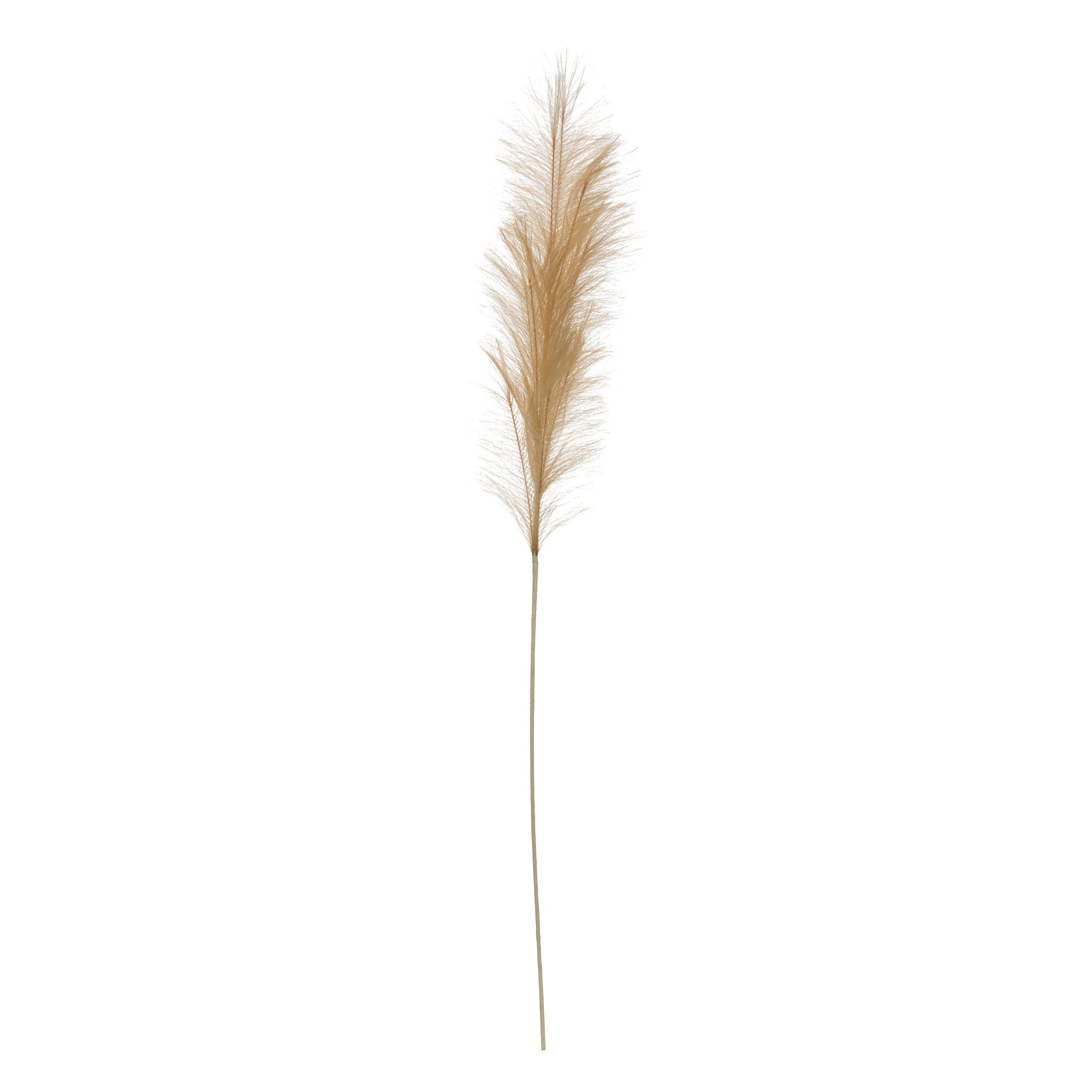 Faux Pampas Grass Plume