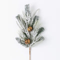Pine Bell Spray