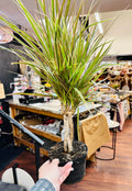 6in Dracena Braid